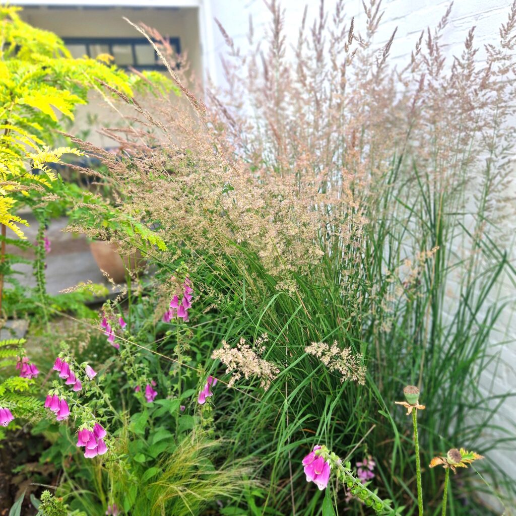 Tuin B&B de Gastfabriek