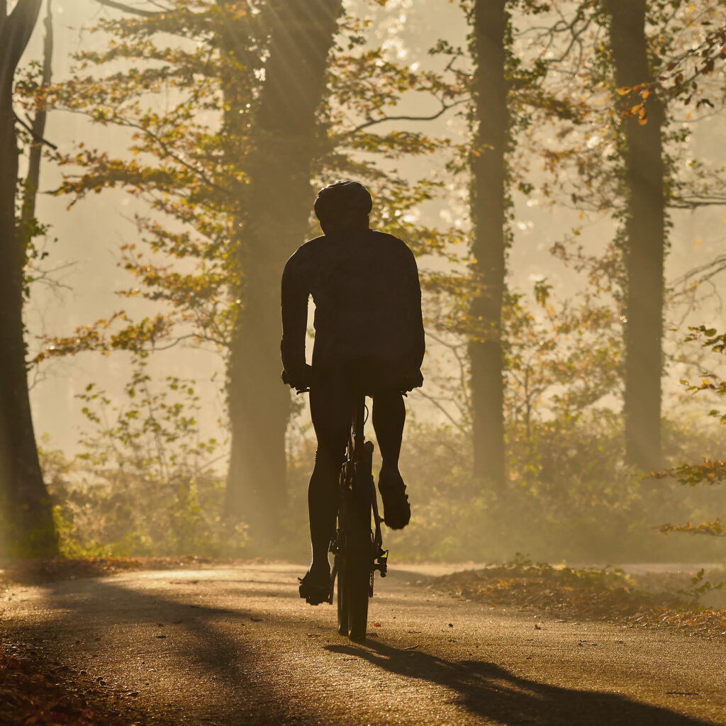 Fietsverhuur Velp en omgeving