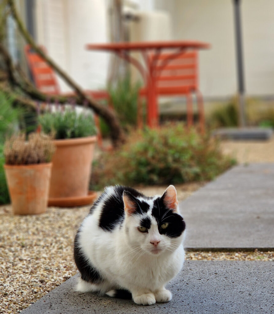 Eettafel tuin B&B de Gastfabriek