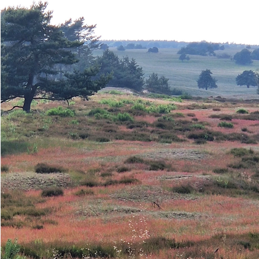 Wandel en fietsroutes B&B de Gastfabriek
